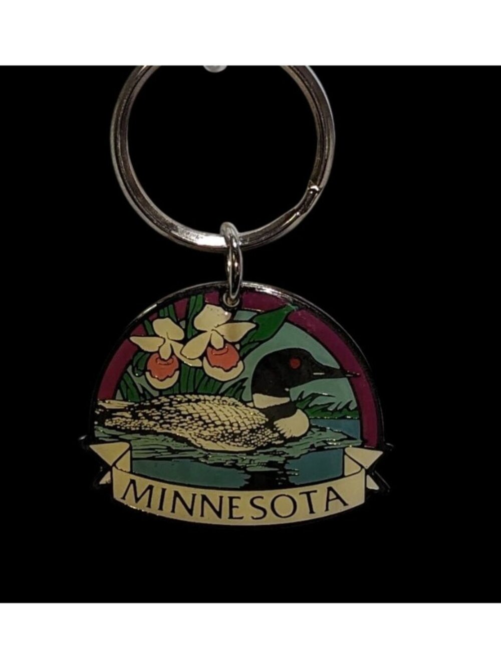 Minnesota Loon Souvenir Keychain Blue Green Travel Keepsake Bird Lover Key Ring
